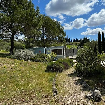 Chambre Tropicale Au Domaine De L'Aven Villeneuve-Minervois Eksteriør billede