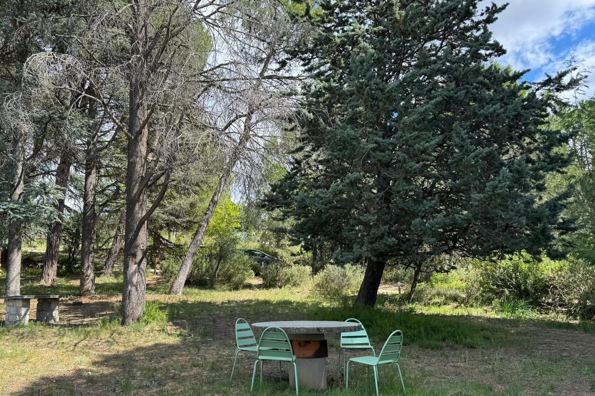 Chambre Tropicale Au Domaine De L'Aven Villeneuve-Minervois Eksteriør billede